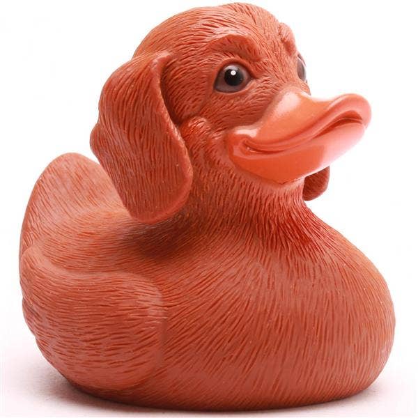 Rubber Duck | Dachshund