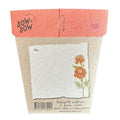 Secret Garden | Gift of Seeds
