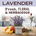 Mrs. Meyers Clean Day Liquid Hand Soap | Lavender