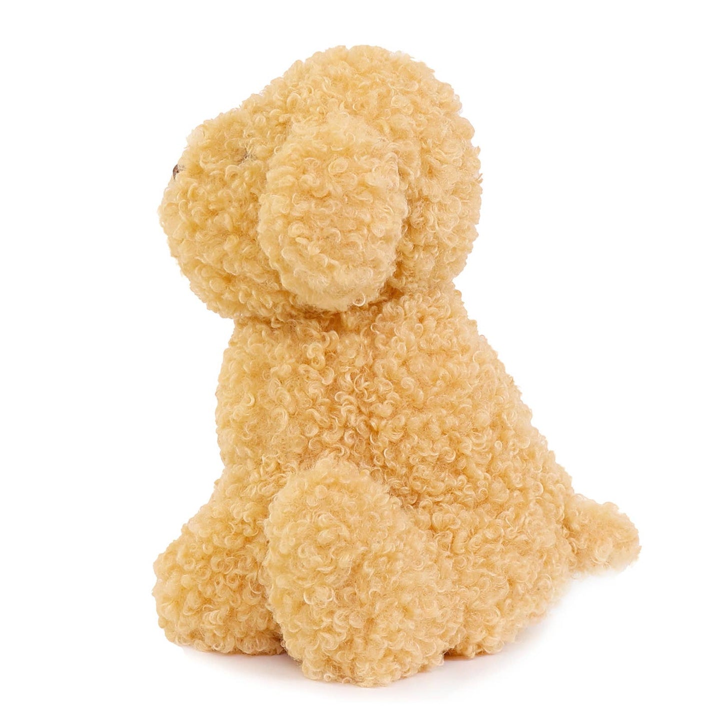 Luca Labradoodle