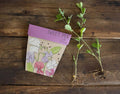 Sweet Pea | Gift of Seeds