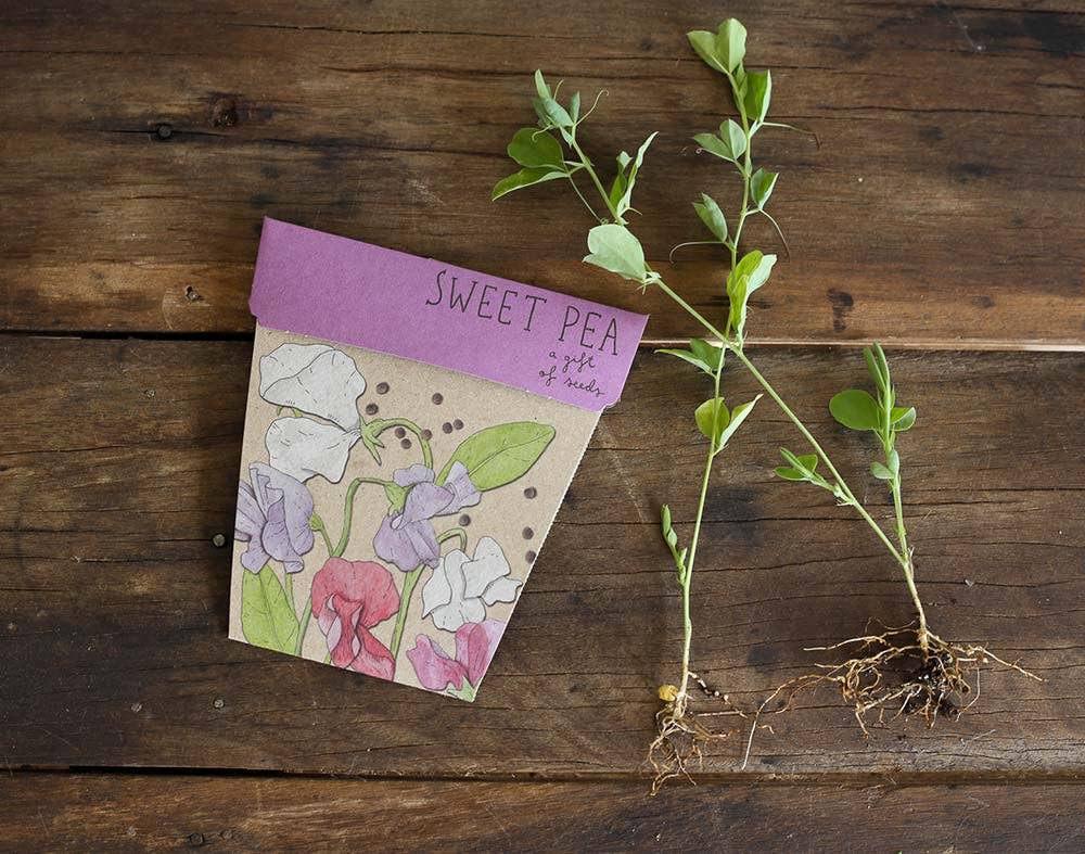 Sweet Pea | Gift of Seeds
