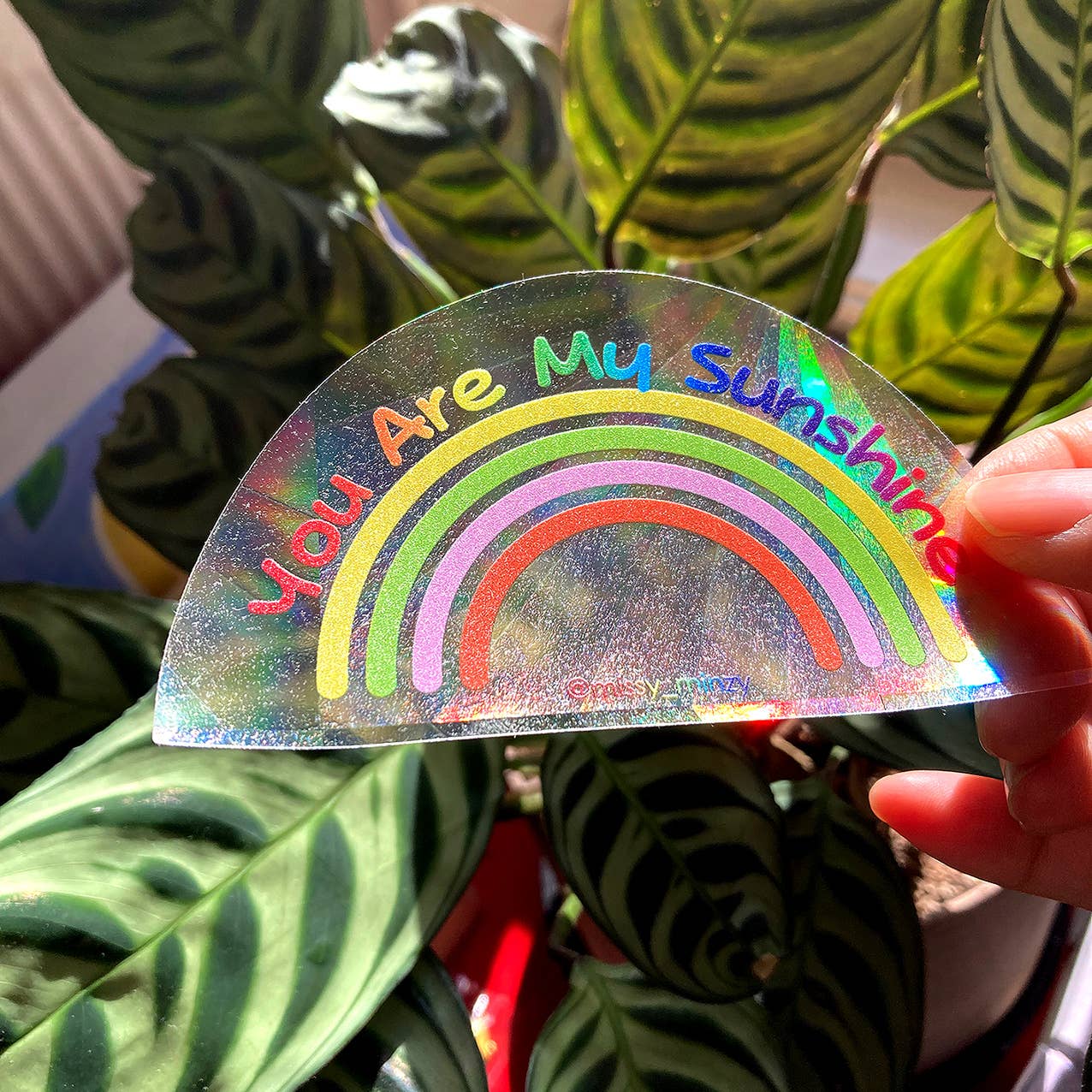 You Are My Sunshine | Rainbow Suncatcher