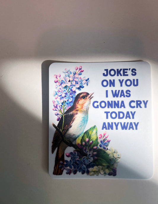 Joke's on You I was Gonna Cry Today Anyway | Sticker