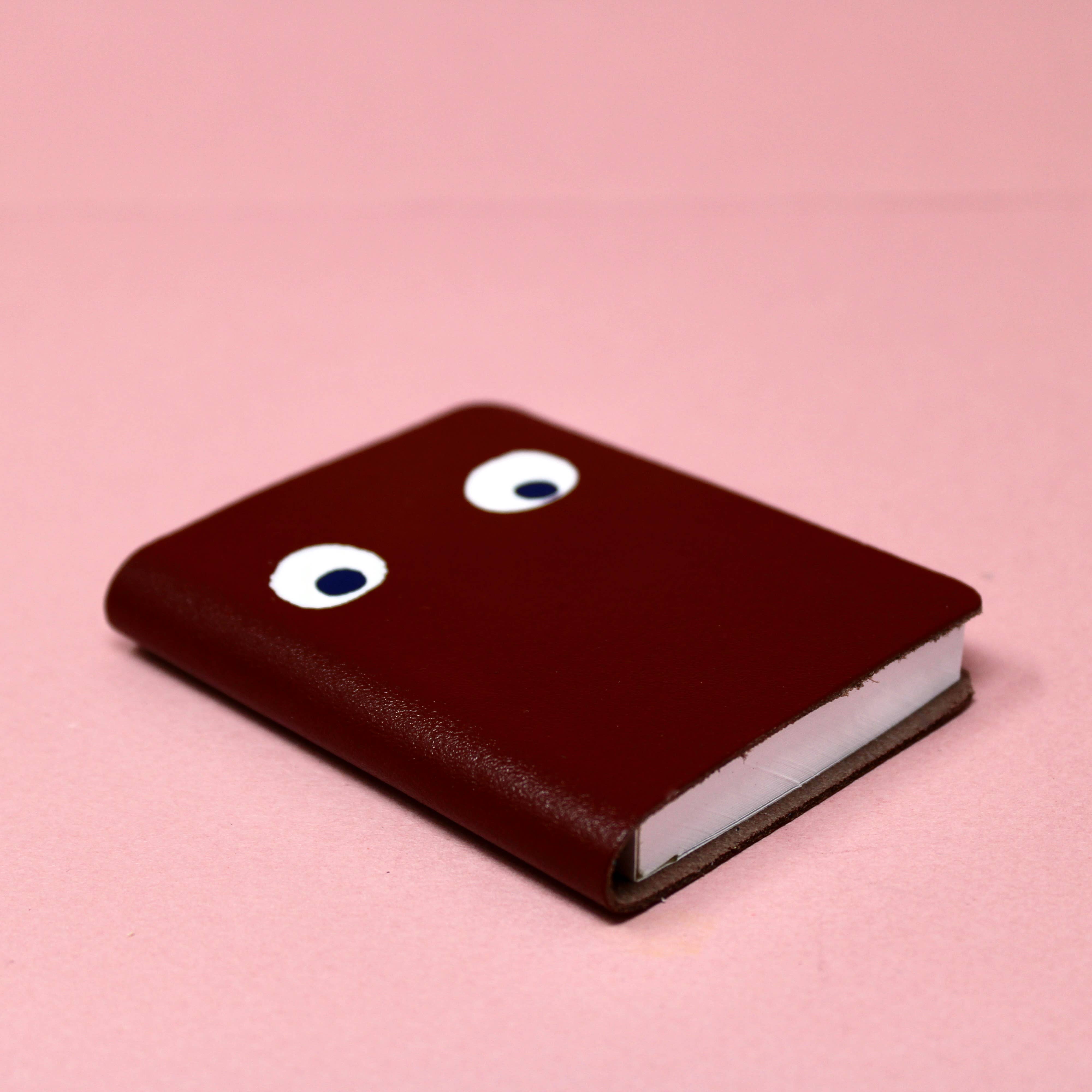 Googly Eye Mini Leather Notebook | Apple Green