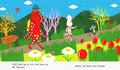Picture Book | Tako Knows