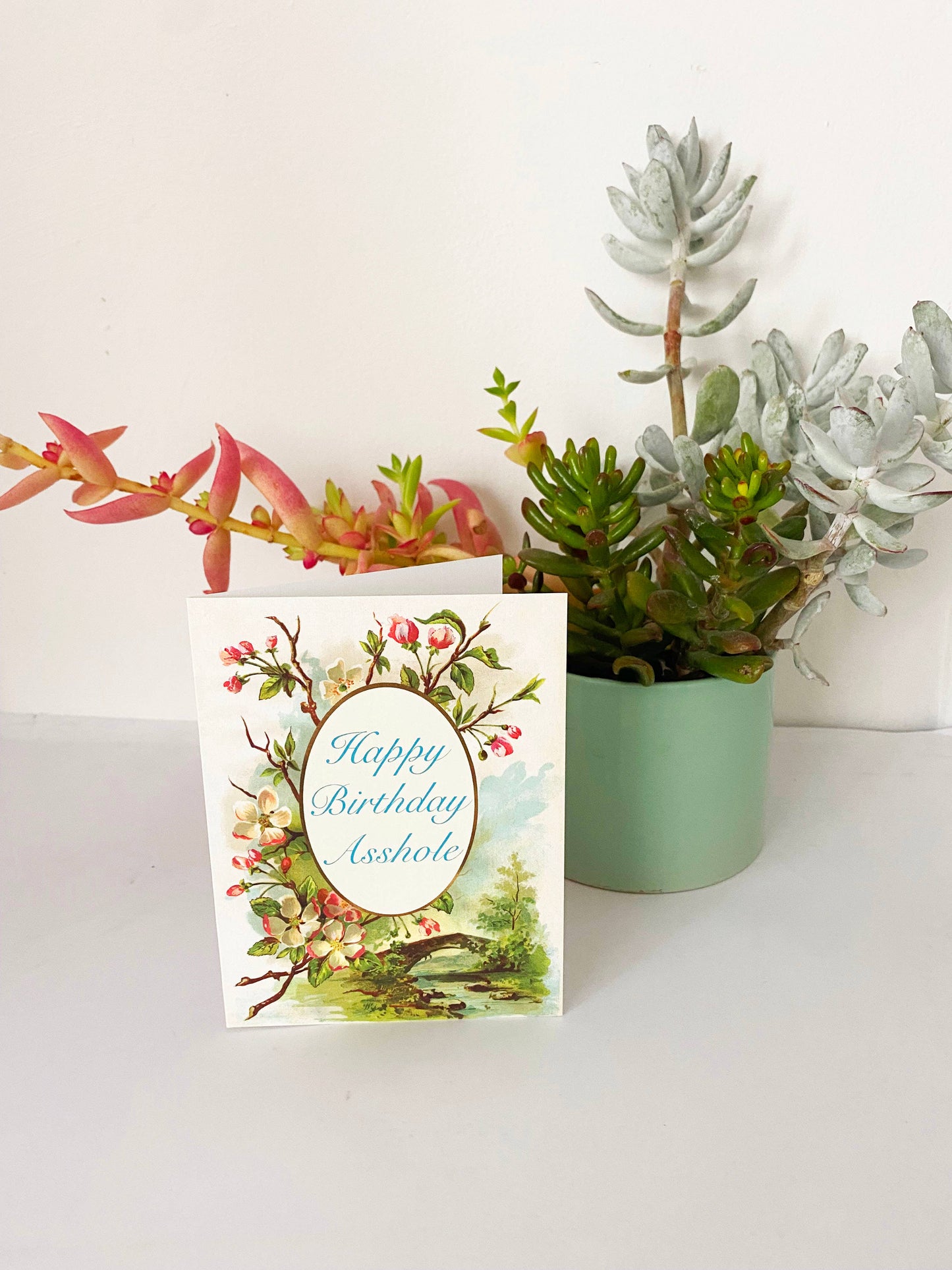 Happy Birthday Asshole | Birthday Card