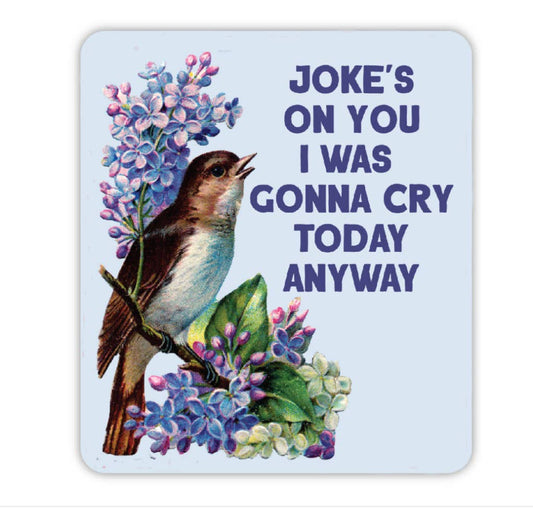 Joke's on You I was Gonna Cry Today Anyway | Sticker