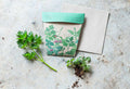 Garden Herbs | Gift of Seeds