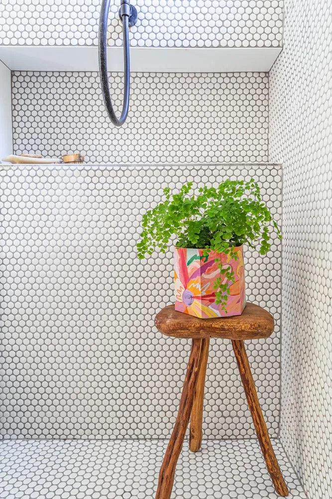 Pop Up Pot | 'Bloom' | Medium