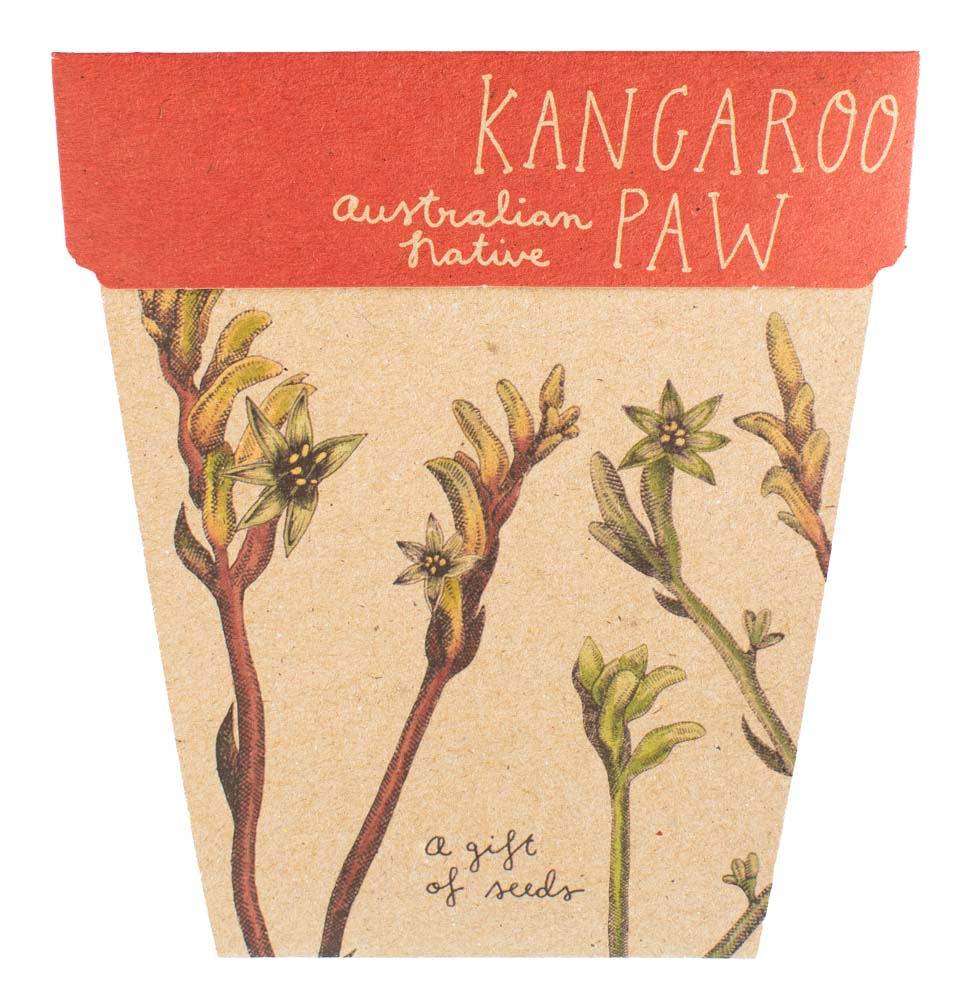 Kangaroo Paw Gift Of Seeds