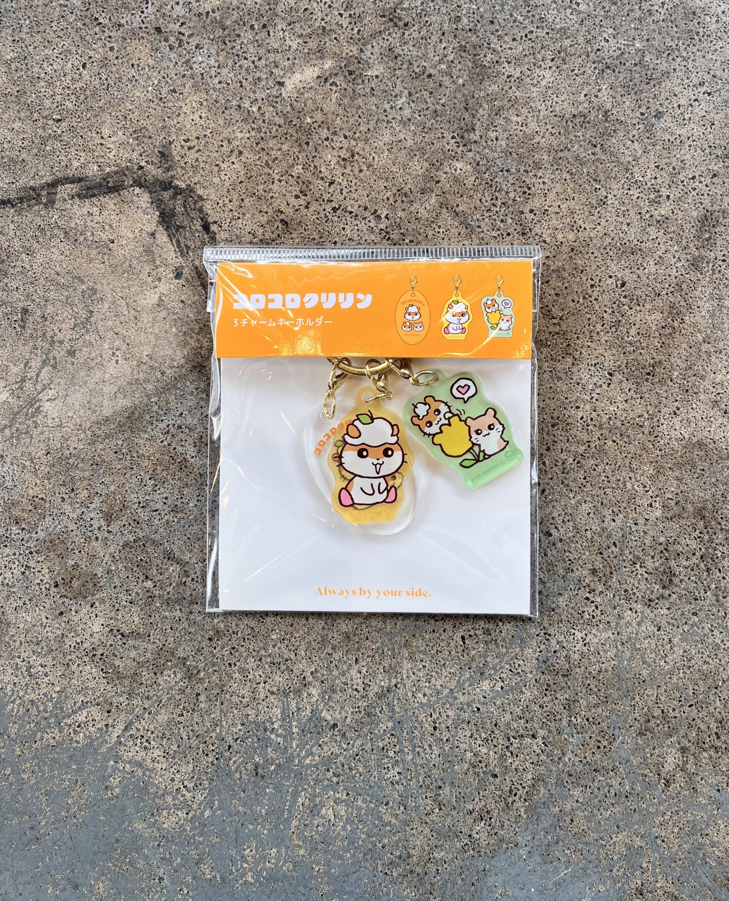 Sanrio Charm Keyring | Various Designs