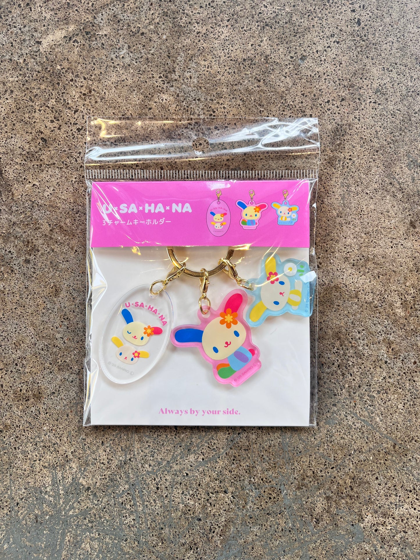 Sanrio Charm Keyring | Various Designs