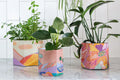 Pop Up Pots | Set of 3 | Jackie Anderson