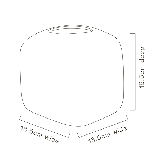 Cube Vase | Australian Wildflowers