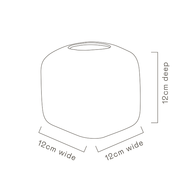 Cube Vase | Australian Wildflowers