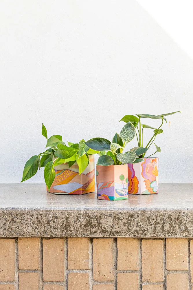 Pop Up Pots | Set of 3 | Jackie Anderson