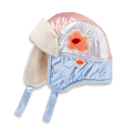 Hej Blomma! | Sherpa Trapper Hat