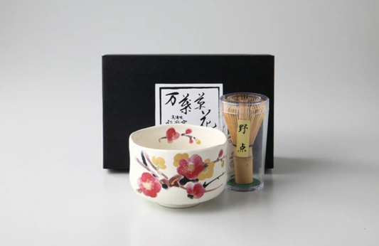Matcha Cup & Whisk Set | Various Colours