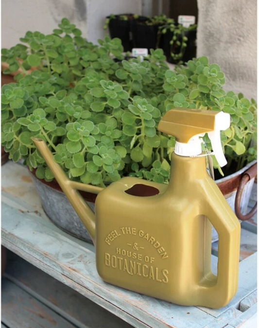 Watering Can | Various Colours