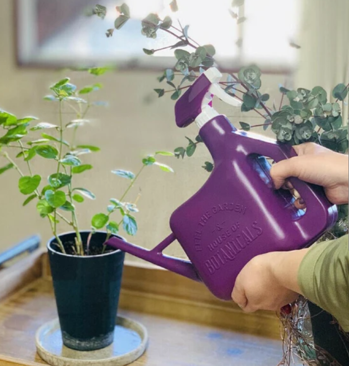 Watering Can | Various Colours