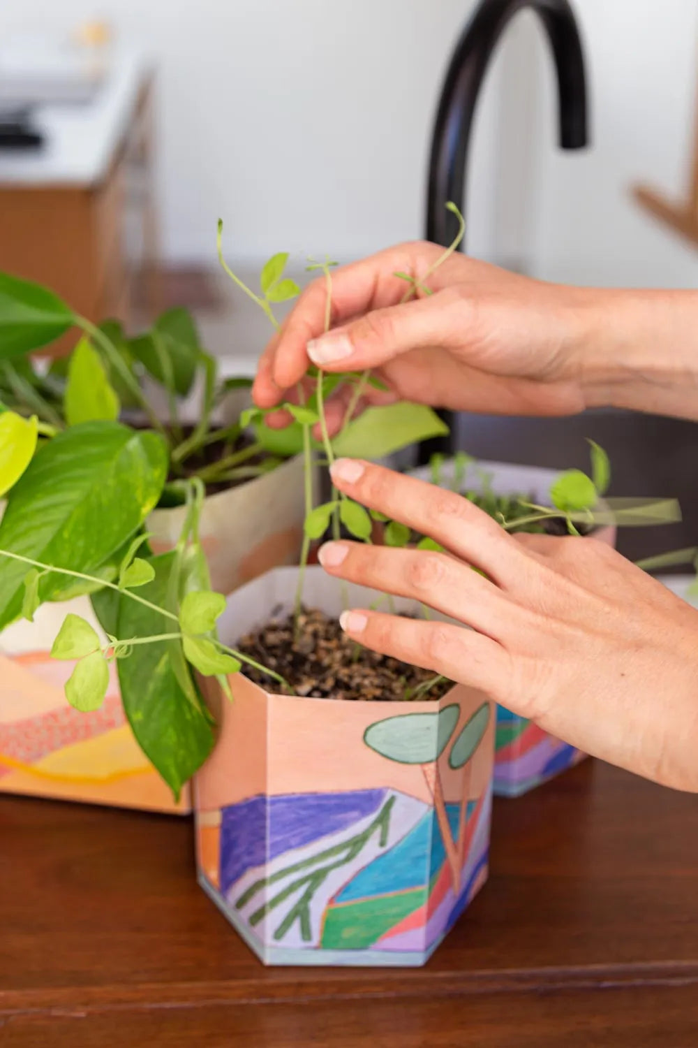 Pop Up Pot | 'Yonder' | Small
