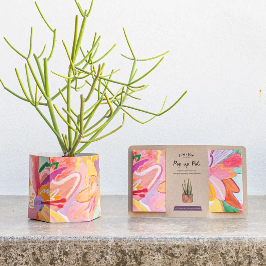 Pop Up Pot | 'Bloom' | Medium
