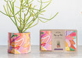 Pop Up Pot | 'Bloom' | Medium