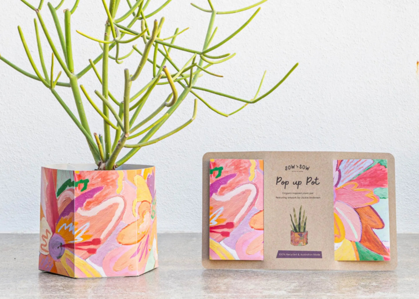 Pop Up Pot | 'Bloom' | Medium