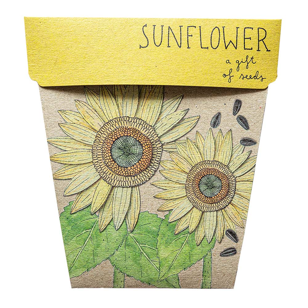 Sunflower Gift of Seeds