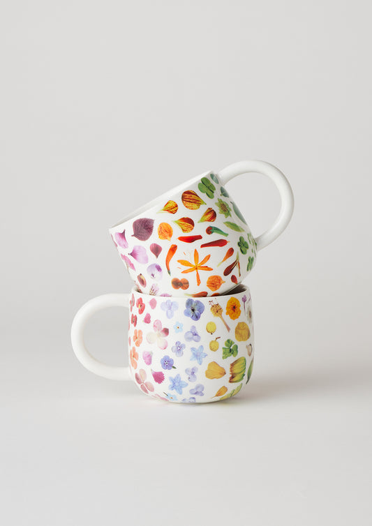 Sunny Day Mugs Set of Two | Flower Rainbow