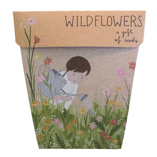 Wildflowers Gifts of Seeds