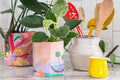 Pop Up Pot | 'Yonder' | Small