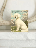 You Gorgeous Bitch | Greeting Card