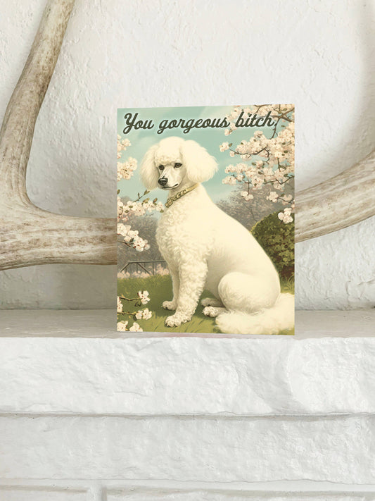 You Gorgeous Bitch | Greeting Card