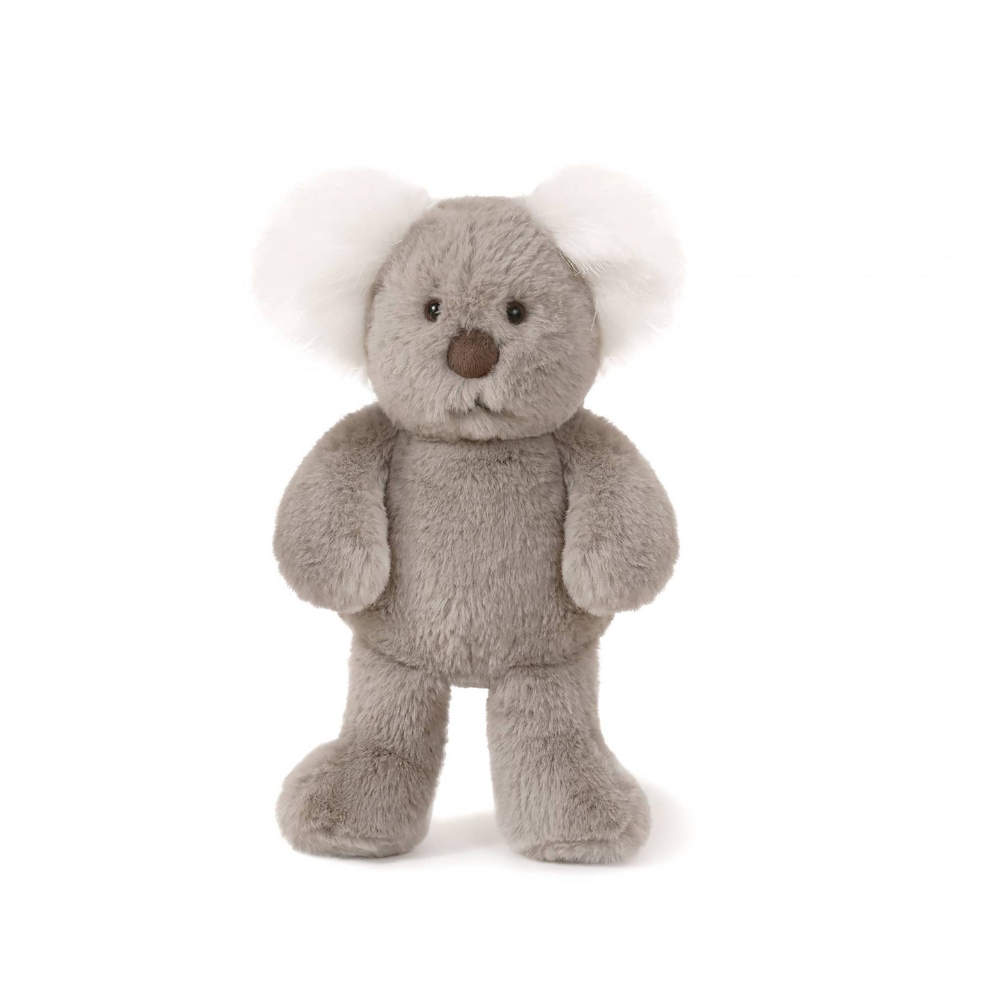 Little Kobi Koala
