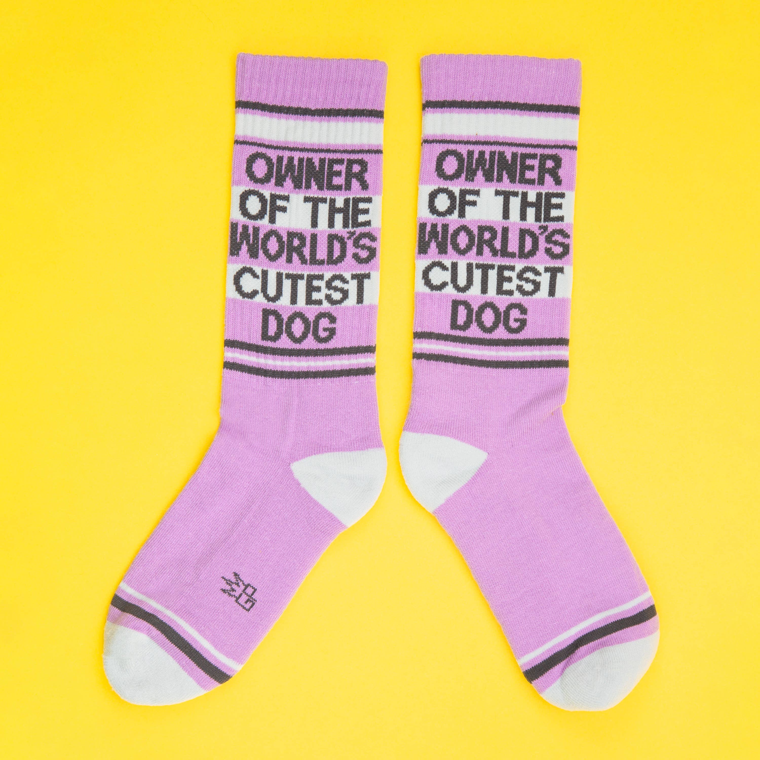 Owner Of The World's Cutest Dog | Gym Crew Socks