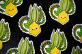 Etrog and Lulav Sukkot | Vinyl Sticker