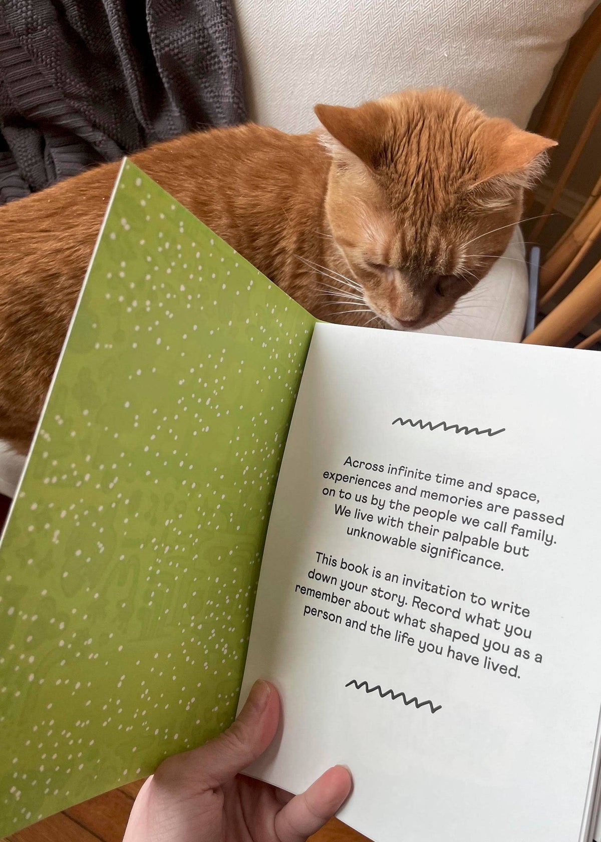 Stories We Tell | Guided Journal