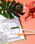 Alphabet Safari Colouring Kit
