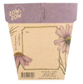 Swan River Daisy | Gift of Seeds