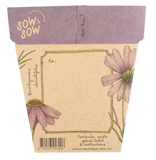 Swan River Daisy | Gift of Seeds