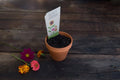 Secret Garden | Gift of Seeds