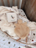 Comforter Toy | Quacks the Duck