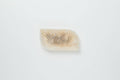 Leaf Trinket Tray | White