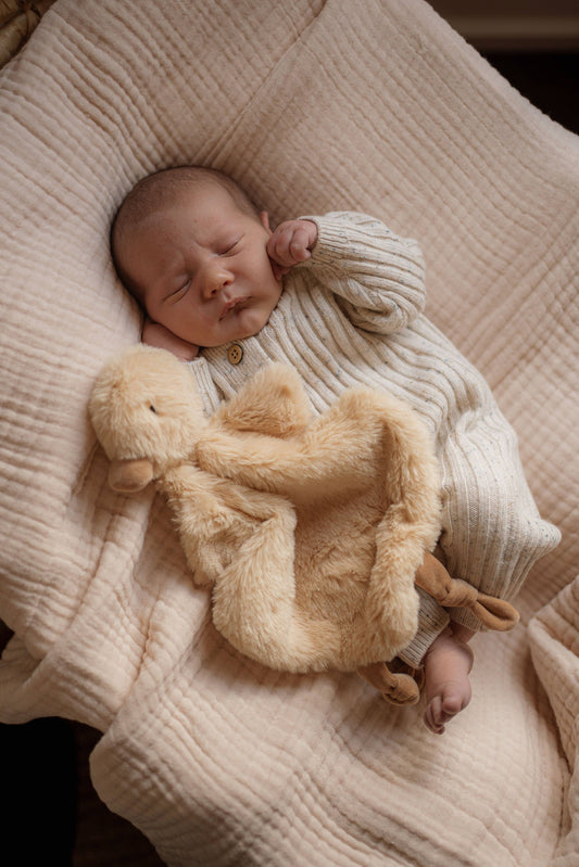 Comforter Toy | Quacks the Duck