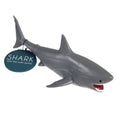 Bath Time Water Squirter | Shark