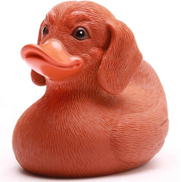 Rubber Duck | Dachshund