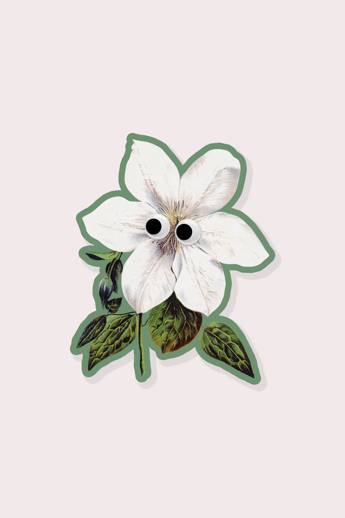 Vinyl Sticker | Googly Clematis