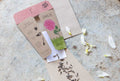 Dahlia | Gift of Seeds